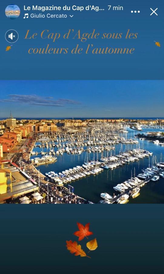 Studio La Grande Roue Vue Magnifique 아그 외부 사진